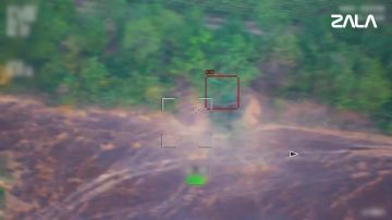 ZALA «Ланцет» вычислил замаскированные орудия ВСУ в Днепропетровской области