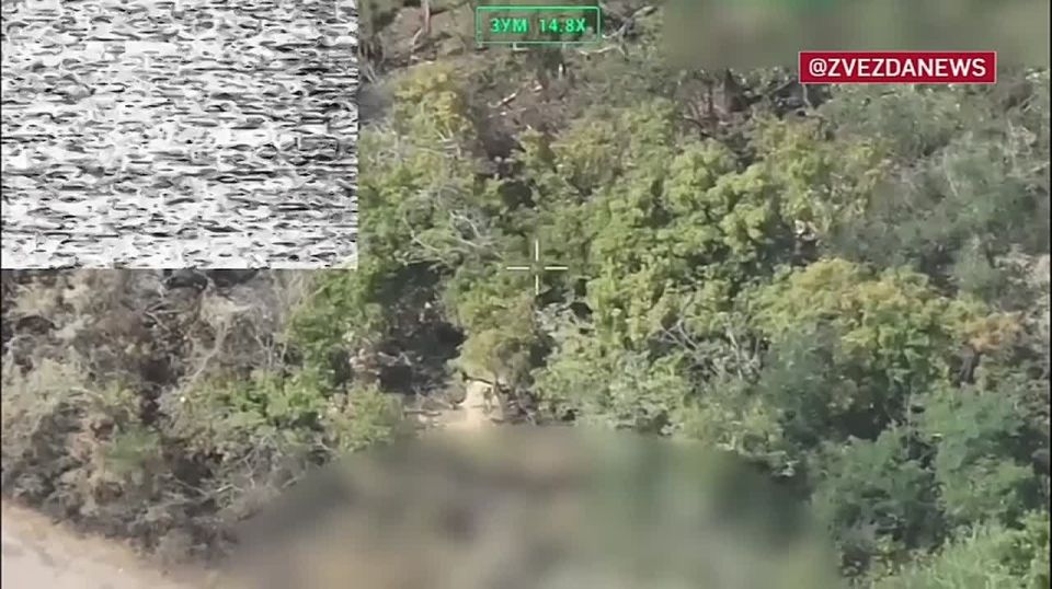 "������" ������������ ������, � �������� �� ��� ���� �� ����� � ����� ����� �� ���������������� �������