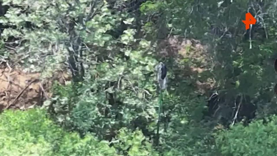 ���������� ������������ ���������� ������ ���������� ���� � �������� ��� � ���������������� �������