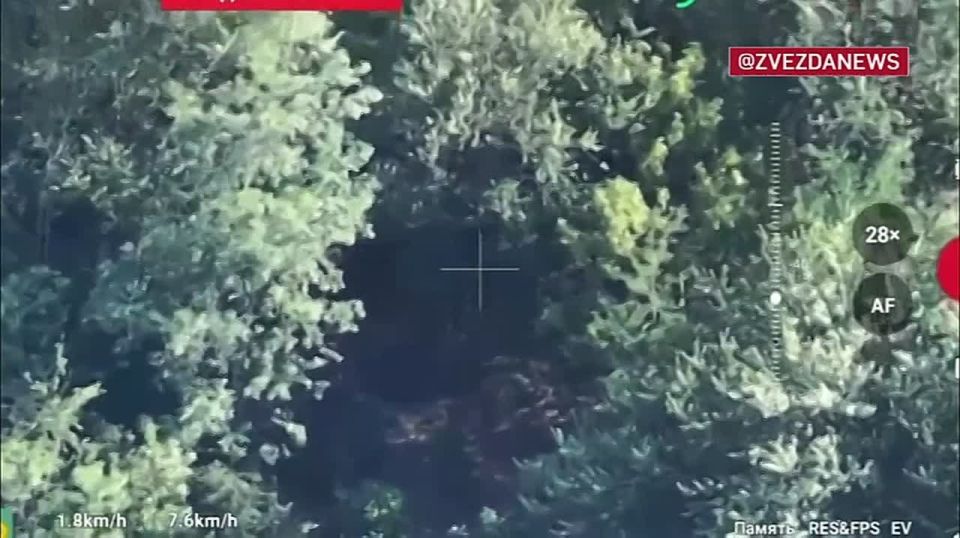 ���� ����� ������ �������������� ������ ��������� � ���������� ���������������� �������