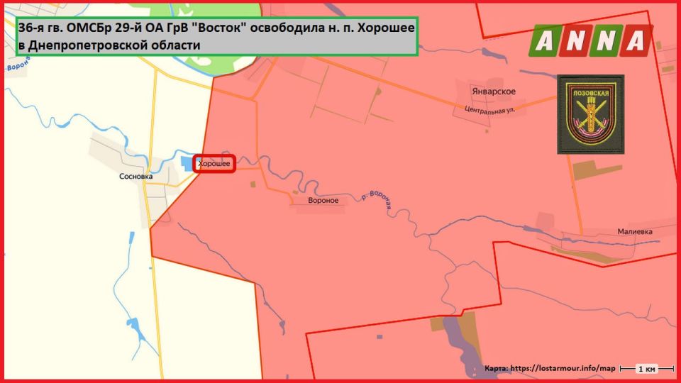    36- .  29-   &quot;&quot;          ,   