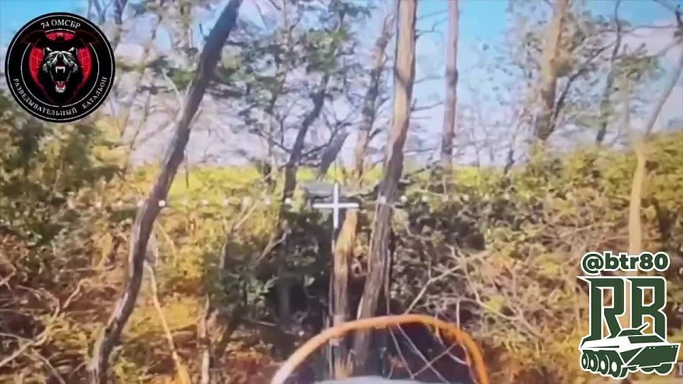 ������ ���������� FPV "�������� ����" �� ���������������� �����������: ���������� ����������� ���������� � ����� ������� ������� ������� ������