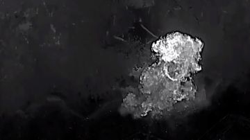 FPV-дроны ослепили антенны Starlink ВСУ в Днепропетровской области