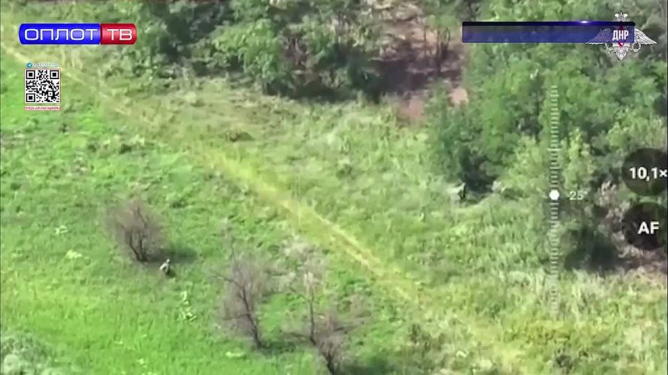 Два населённых пункта в ДНР Марково и Фёдоровка перешли под полный российский контроль за минувшую неделю