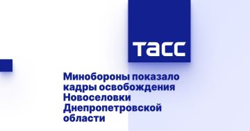 Минобороны показало кадры освобождения Новоселовки Днепропетровской области