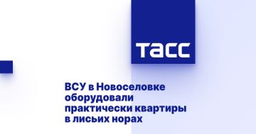 ВСУ в Новоселовке оборудовали практически квартиры в лисьих норах