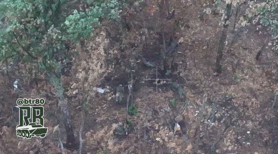 Российские войска перемалывают противника: Лесополосы под Днепропетровском завалены трупами ВСУ