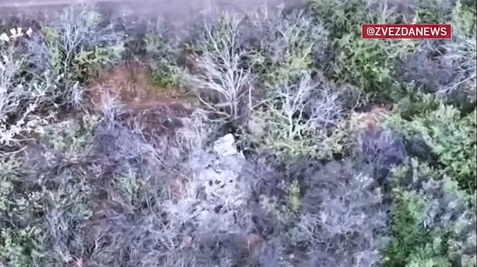 ���� ��� ������ � ������ ���� � ���������������� �������