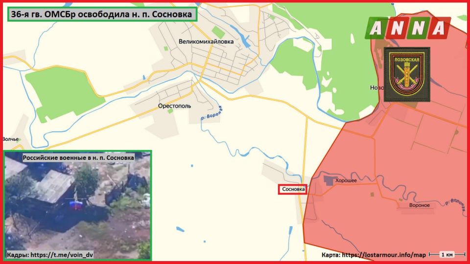 ���������� ������� �� 36-� ��. ����� 29-� �� ��� "������" ���������� �. �. �������� �� ������������������ ����������� � ���������������� �������, �������� ����� "���� DV"