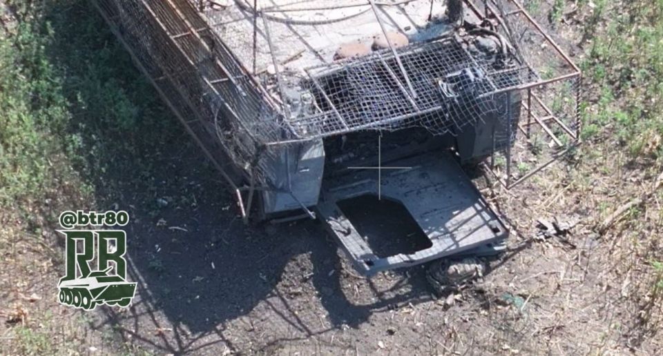 "�������� ���" ������� ����� � ����: ������� ��� �������, ��������������� � �������� ���������