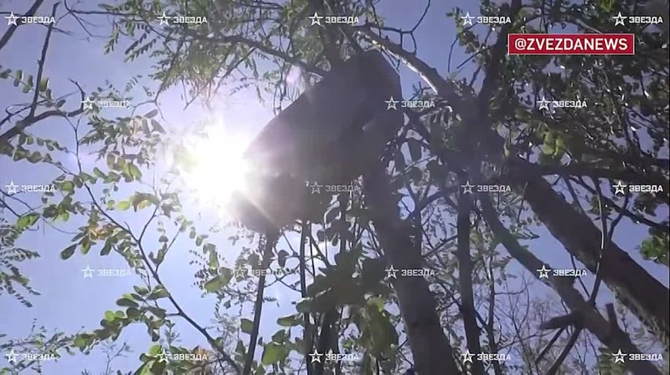 "����-���" � ������������� ���: ����������� � ������������ "������" ���� �� ��������� � ���������������� �������