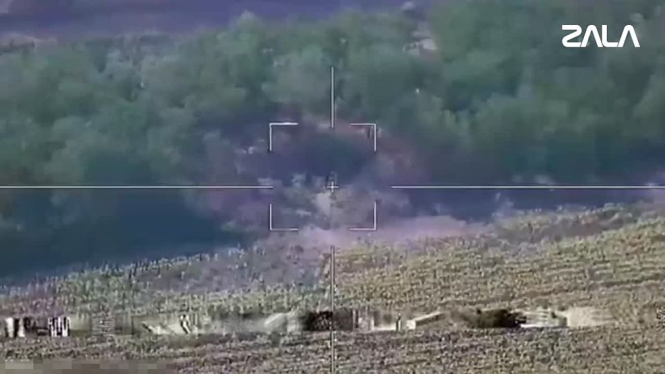 ������ ZALA ������� ��������� ������� �-119 ���