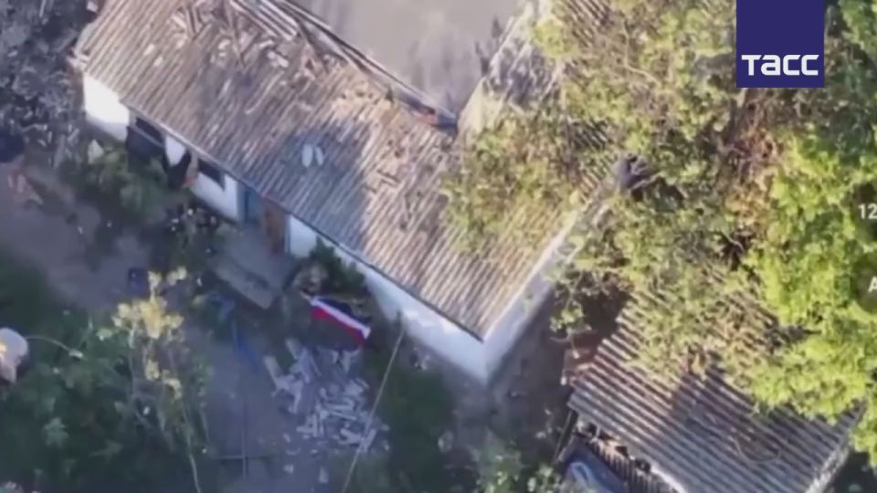 ����� ������������ �������������� � ���������������� �������