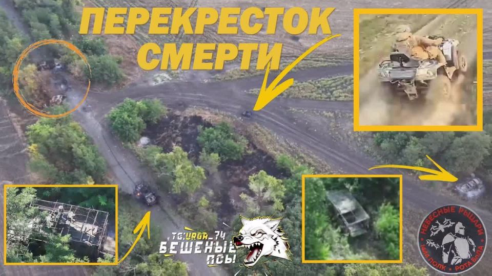 ���������� ������. FPV-������ ��������� ������ ������� �������� ���� ���� ��� ������ �������� ������ ������������� ���� �� ���������������� �����������