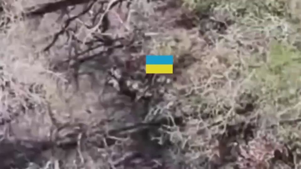 ����������� ������������ �.� �������������� � ���������������� ������� ��������� ��������� ��������� ���