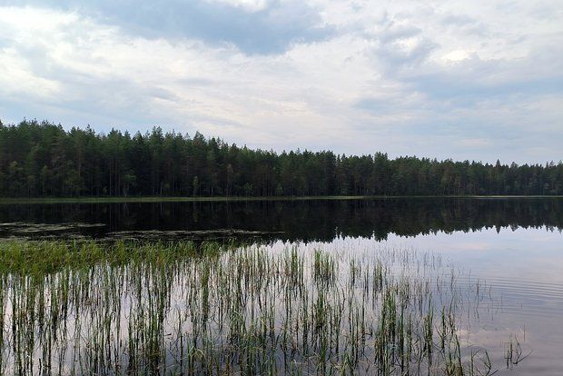 ���������� ��������� ��������� �� �������� ��� ��� ����� � �����