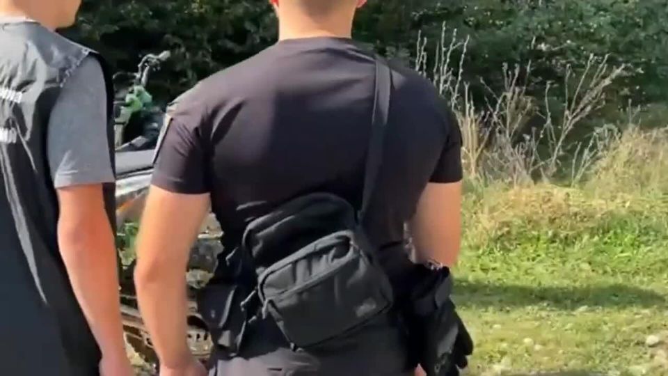 ���� ������� � ���������� ������������ "���������" ������������