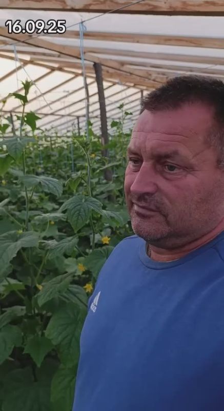 ������ ���������������� ������� ������� ����������� ����� �������� � ������ ����� � ����� � ���������� ����������� �������� �������������� ����������