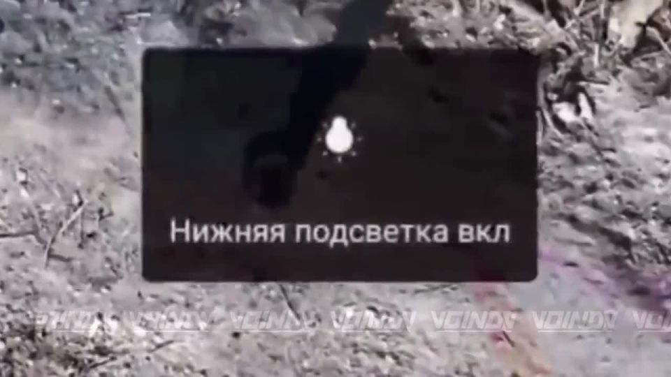 ��������� 29 ����� ������������ � ������� ������� ��� � ��������� ���������������� ������� ����� �������