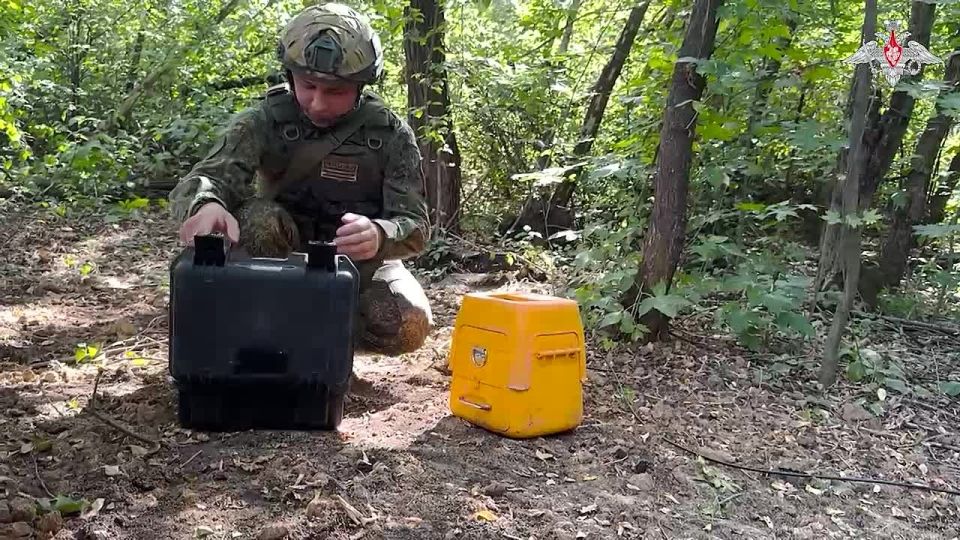  :         FPV-      