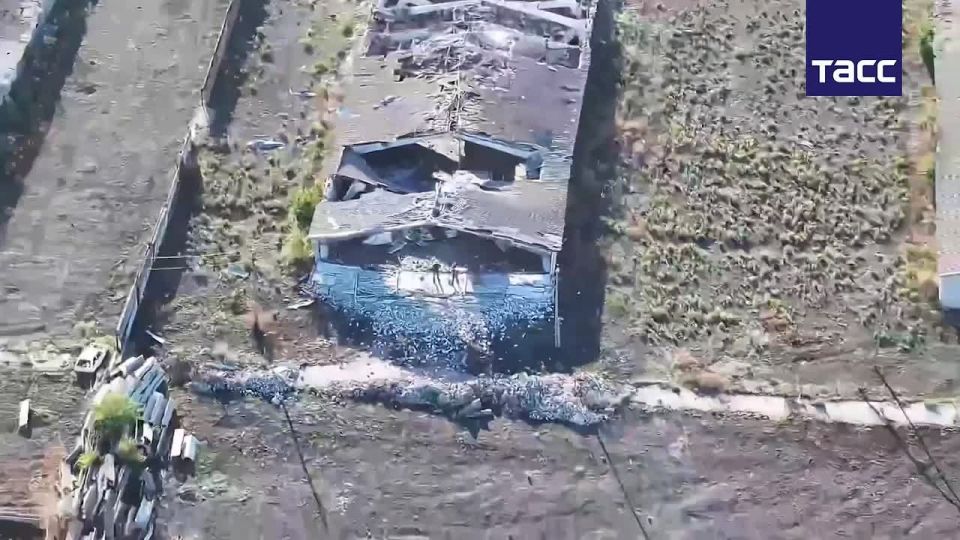 ����� ������������ ����������� ������ ��������� � ���������������� �������