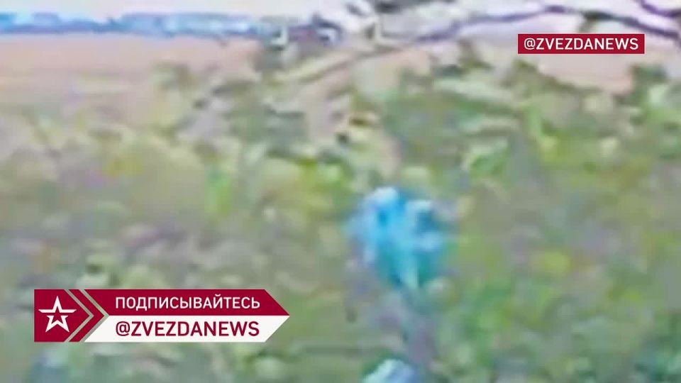 ����� ������ ��� � ���������������� ������� � � ����, � �� �����