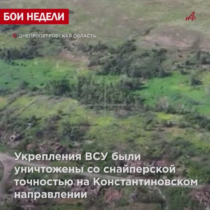 ���� ����� �� ����������! ��������� ������ �������� ������� ��� � ���������������� �������