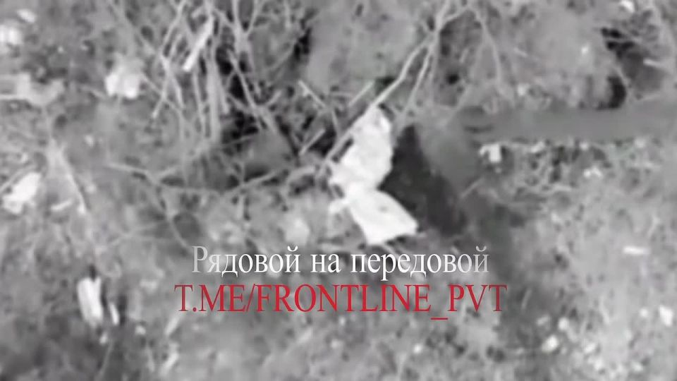 ��������� ���� ����������� "������" ������� �������� ����� �� �������� ��� � ���������������� �������, ��������� ����� ���� ����������