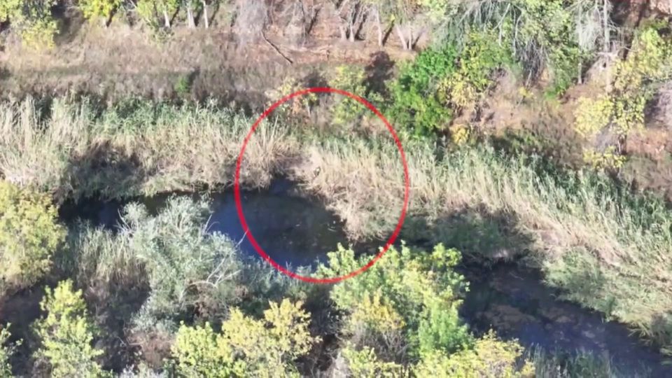 ����� ����������� ����� ������ � ���������������� ������� ����������� ���� � ����� � ��� �����