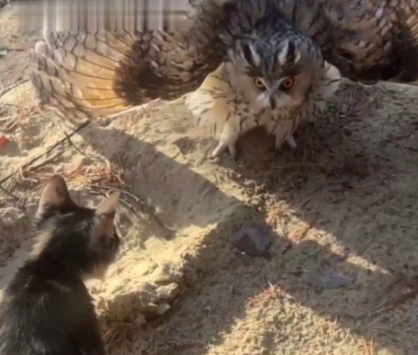 ������� ����� ����� ������ � ���� ���