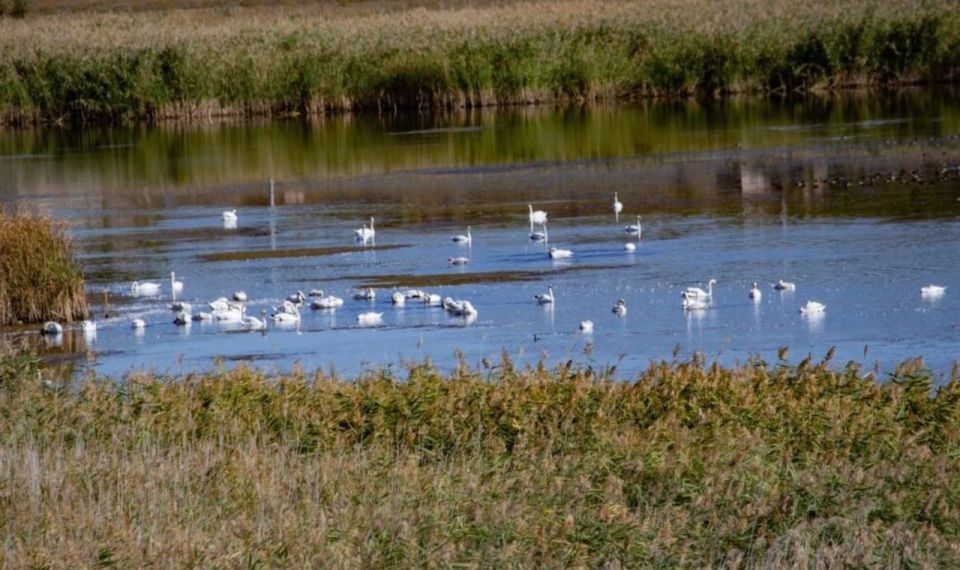 ��������� ����� ����� � ���������������� �������