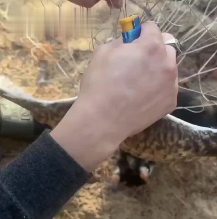 �� ������� ����������������� ����������� � ���� ��� � ����������� �������� ����������� �����