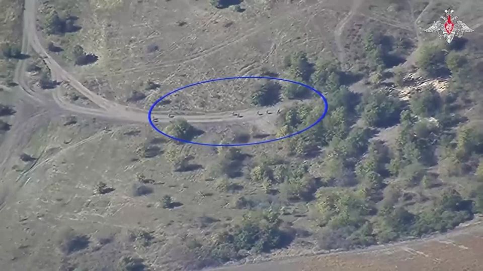 �� �� ��������� � �������� ���������� ��������