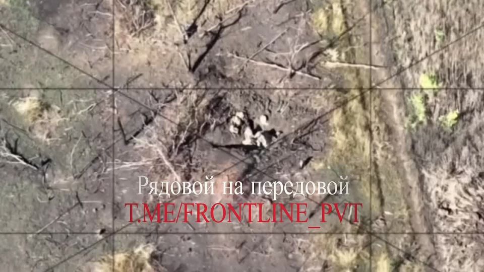 ��������� ���� ����������� "������" ������� ����� �� �������� ���������� � ���������������� �������, ����������� ������������� � ������� FPV-�����