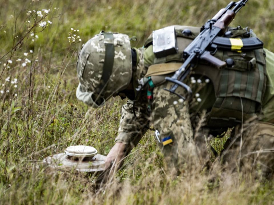 �����������: ���������� ������� �������� ���� ����� � ���������������� �������