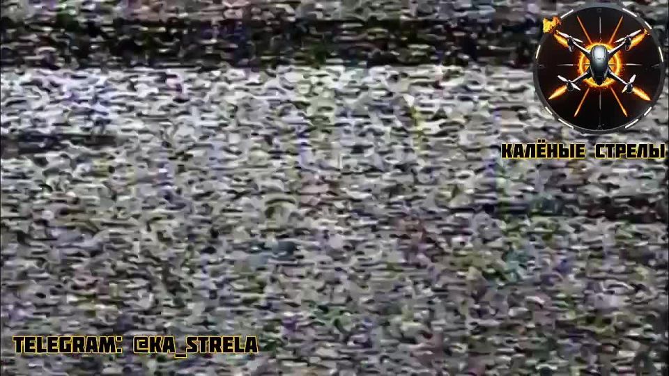  :  155-  &quot;&quot;          :  ,  FPV-,  &quot;&quot;