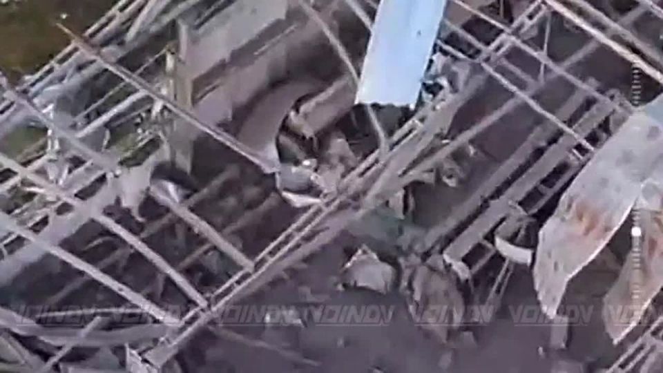 �������� �����: �� �������� ������������� ��������� ���������