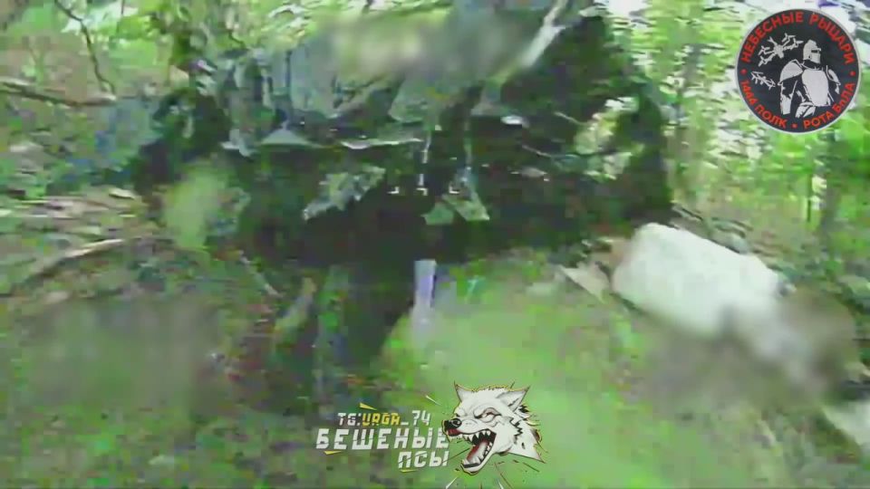 �������� "���" FPV-������� ��������� ������ ������� �������� ���� ������ � ��������� 2 ������ ���������� ���� ����������, ����������� � ������ �������� ����������������� �����������