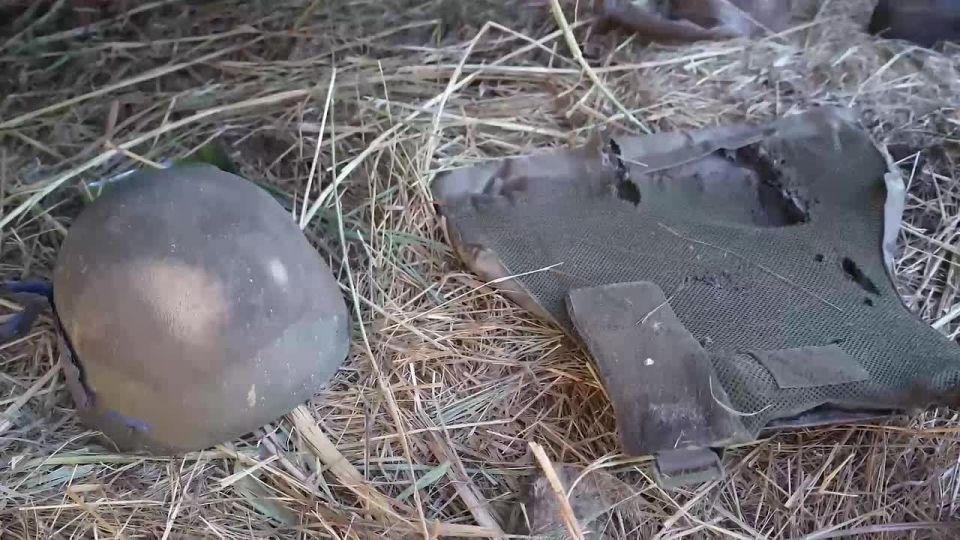  :             ,     