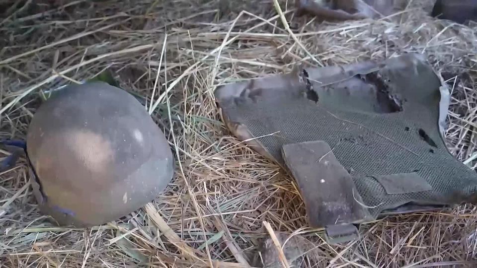 � ������������ ���������������� ������� ����� ������ ��������� ��������� ������, ���������� � ��������� ����� �113