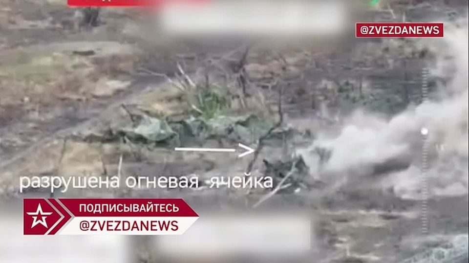 ���� ������������ ���� ���� ���������� �������� � ���������������� �������