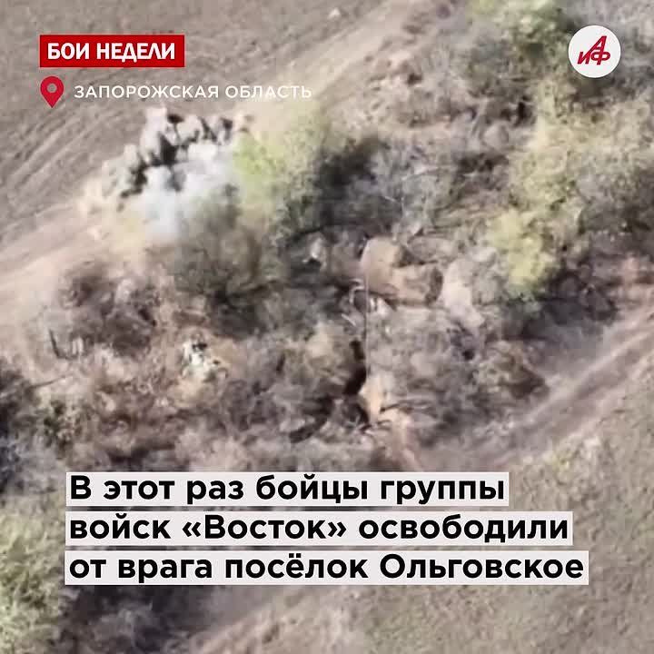 ������ ���� ��� ���! ���� ������� ���������, ��� ����������� ���������� � ���������