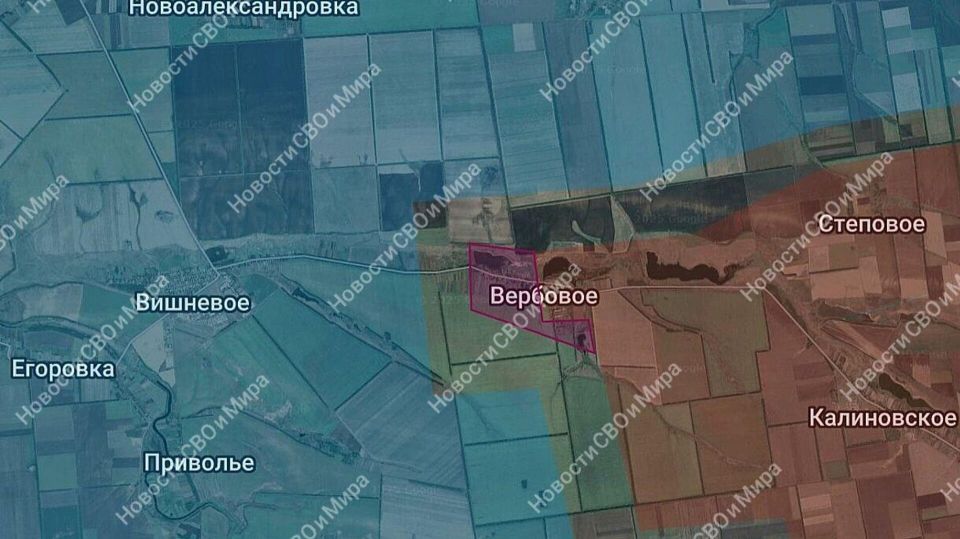 ���������������� �������. ��������. ��� �������� �������� ������� ����