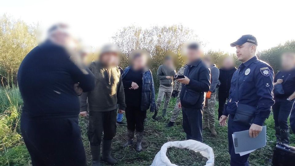 ����������� �������������� ����������� �� �������� �������