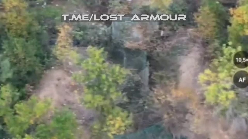 ����� ������� �� ����������� � �������� �� ���������� ��� �109 � ���������������� �������