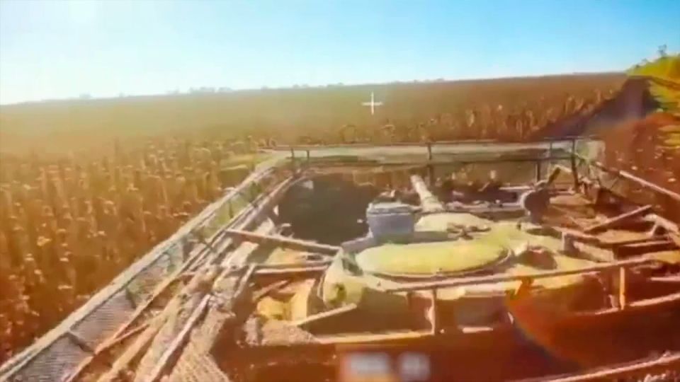 ������������ ����� ���� �� ��������