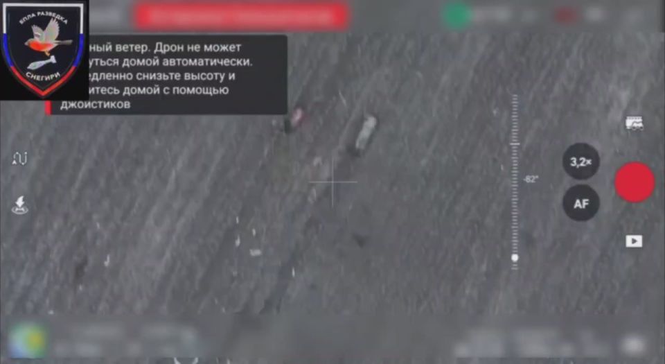      37      &quot;&quot;    ,   