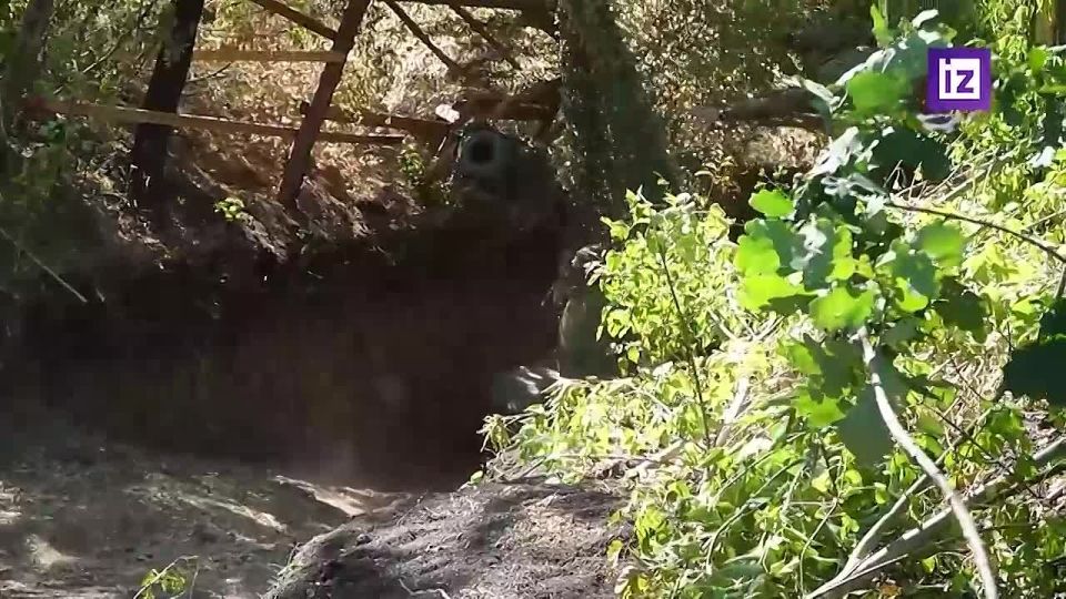   &quot;-&quot;   &quot;&quot;        ,    