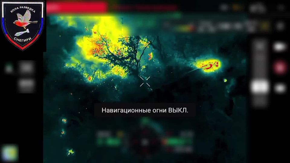  :    37      &quot;&quot;    ,   