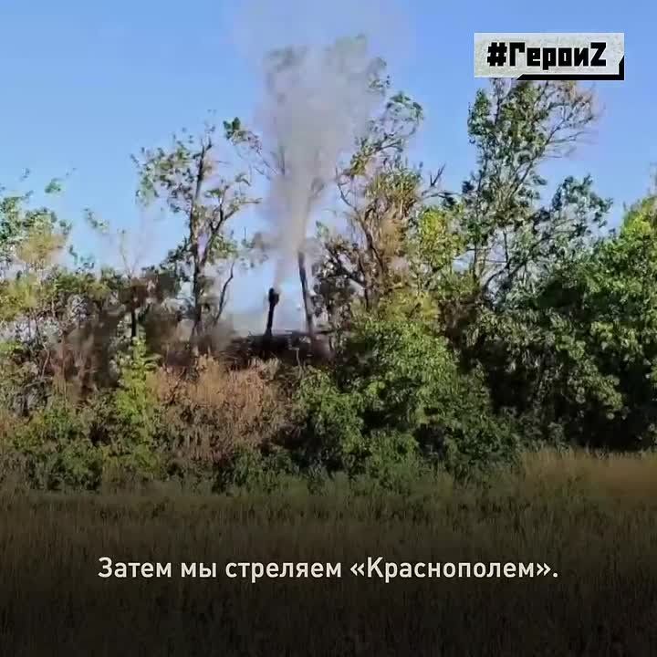     -ѻ      